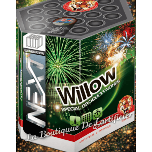 P151517 - Compact WILLOW – 19 Coups Pivoines Colorées avec Bouquet Final Crépitant Doré