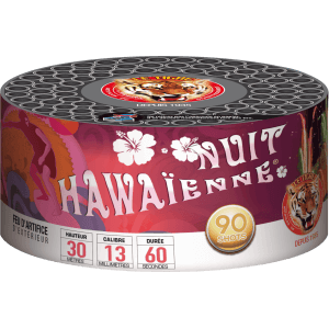 P152409 - Compact NUIT HAWAIENNE – 90 Coups Comètes Traçantes et Effets Sifflants