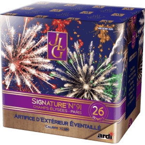 15255 - COMPACT SIGNATURE LE 91