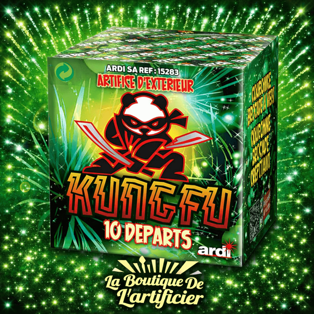 COMPACT KUNG FU