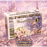 22435LPF - CHAMPS-ÉLYSÉES MARIAGE 5MN MUSICAL