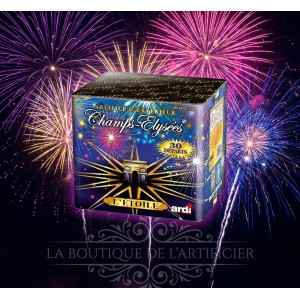 22357 - COMPACT L'ÉTOILE - CHAMPS-ÉLYSÉES