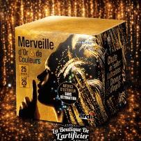 15253 - MERVEILLE D'OR ET DE COULEURS