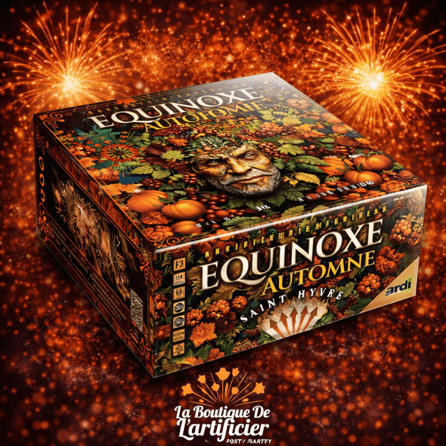 22132 - COMPACT EQUINOXE AUTOMNE