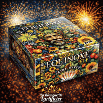 22131 - COMPACT EQUINOXE ETE