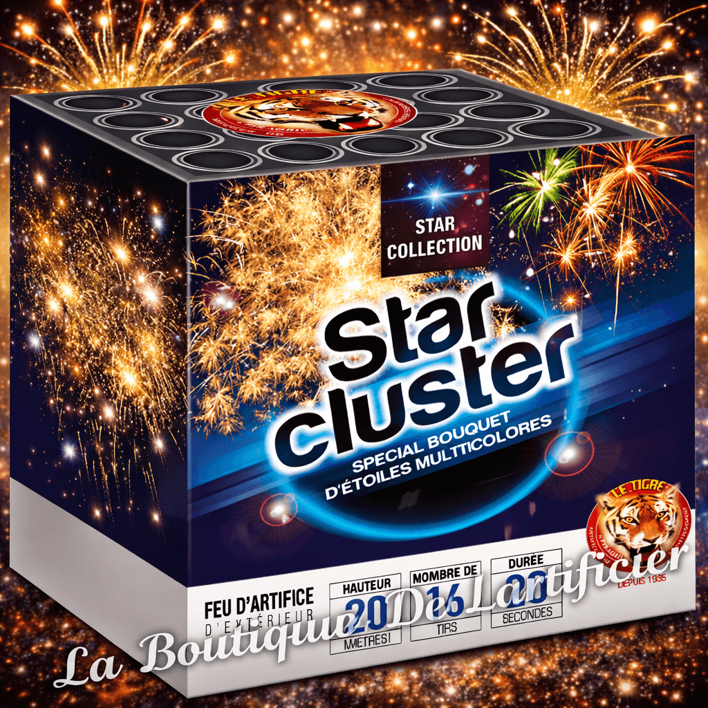 Compact STAR CLUSTER – 16 Coups Bouquets d’Étoiles Multicolores